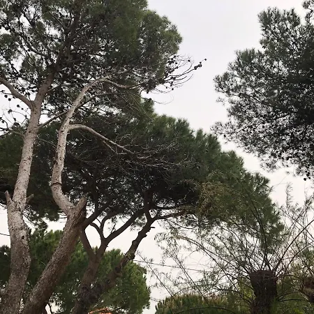 Maison Bord De Climatisee La Capte , Vakantiehuis Hyères