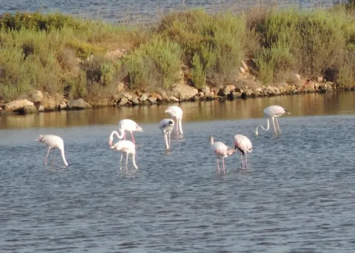Tatil Evi Maison Bord De Climatisee La Capte , *