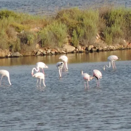 בית נופש Maison Bord De Climatisee La Capte , *
