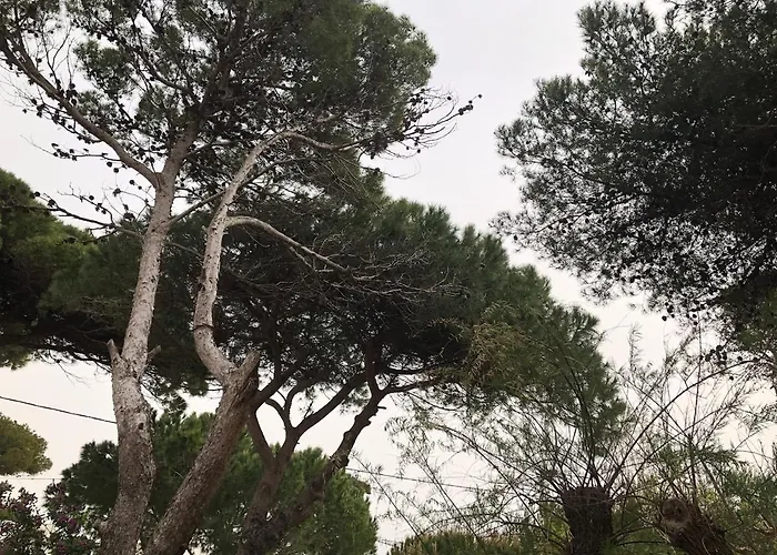 Maison Bord De Climatisee La Capte , Holiday home Hyeres