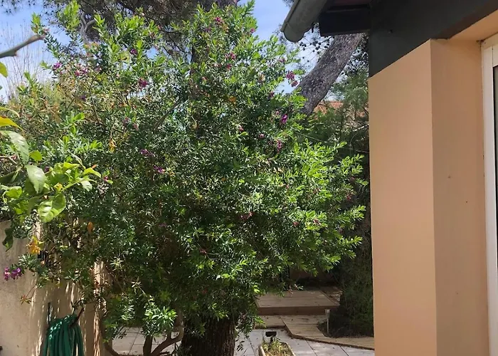 Maison Bord De Climatisée La Capte , Casa vacanze